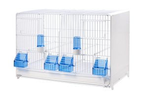 Cage d'elevage de 58cm - 2GR