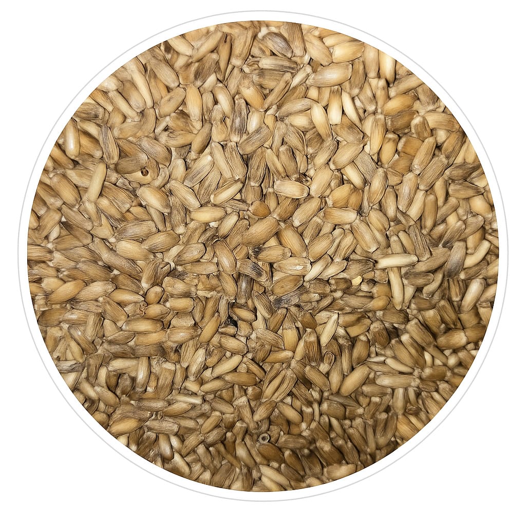 Graines de Chardon Marie- conditionnées en vrac - Manitoba