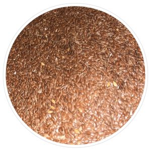 Graines de Lin - conditionnées en vrac - Manitoba