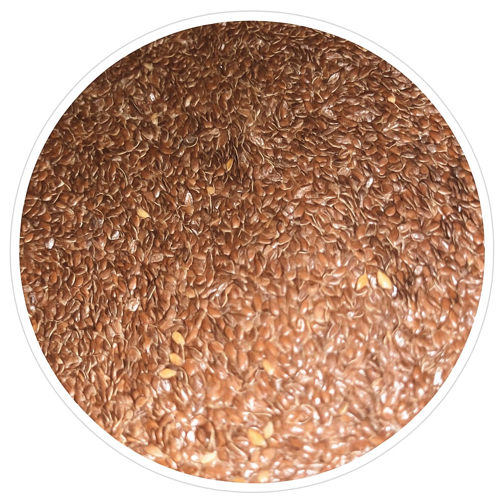 Graines de Lin - conditionnées en vrac - Manitoba