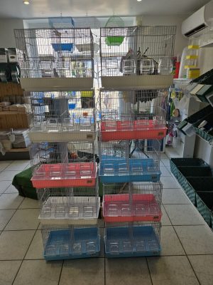 Cages élevage - Mon premier élevage