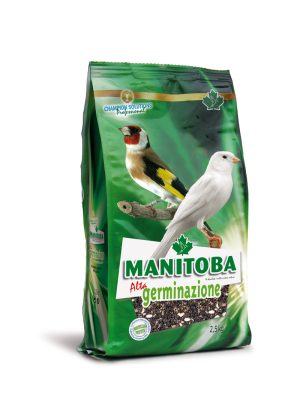 Manitoba graines à germer (Alta Germinazione) 2,5kg