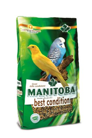 Manitoba Best condition Graines de condition 2,5 kg