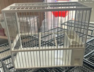 Cage Espagnole C-2 - Jaula C2