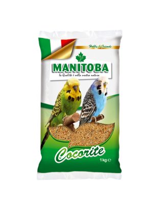 Manitoba Cocorite Biscuit