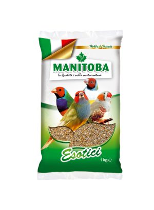 Manitoba Esotici oiseaux exotiques
