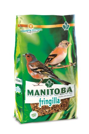 Manitoba Fringilla Pinsons des arbres linotte mélodieuse 2,5kg