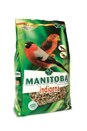 Manitoba Indigena - Bec-croisés , Bouvreuils et Verdier