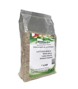Graines laitue blanche - Lattuga Bianca - Manitoba  1kg