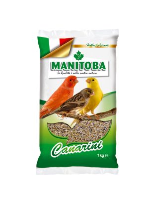 MANITOBA MELANGE CANARI T1 BISCUIT