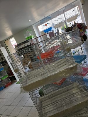 Cages élevage - Mon second élevage