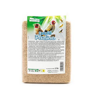 Manitoba - Carduelidi Platino